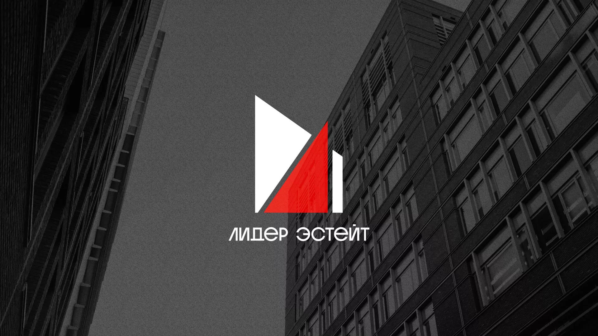 Сделали логотип для агентства недвижимости «Лидер Эстейт» в Кинели
